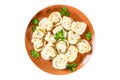 Ready dumplings. Dumplings isolated on white background. Boiled dumplings on a plate. Top view. Royalty Free Stock Photo