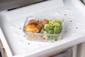 Ready frozen meal in a container in the refrigerator. Frozen food in the freezer Royalty Free Stock Photo