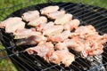 Ready grill barbecue chicken Royalty Free Stock Photo