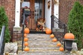 Ready for Halloween: An Assortment of Pumpkins on the Front Steps and Porch of A House