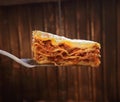 Ready lasagna on the blade Royalty Free Stock Photo