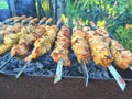 Ready-made grilled kebabs close-up, fried meat. Grilled meat on skewers Royalty Free Stock Photo