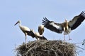 Ready for outbound flight Royalty Free Stock Photo