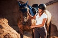 Ready for the ride. Horsewoman in uniform and black protective helmet with her horse Royalty Free Stock Photo