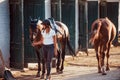 Ready for the ride. Horsewoman in uniform and black protective helmet with her horse Royalty Free Stock Photo