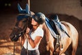 Ready for the ride. Horsewoman in uniform and black protective helmet with her horse Royalty Free Stock Photo