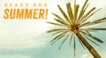 Ready for Summer text and Palm Tree against sunny clear sky panoramic background. Concept for summer vacation, tropical travel Royalty Free Stock Photo