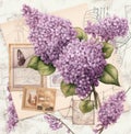 Vintage Charm: Delightful Lilacs on Postmarked Mail Royalty Free Stock Photo