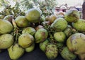 ready to drink young coconut, called & x22;es degan& x22; Royalty Free Stock Photo