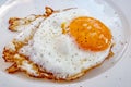 Ready to eat fried egg on plate