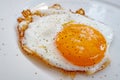 Ready to eat fried egg on plate