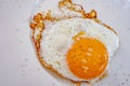 Ready to eat fried egg on plate