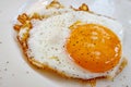 Ready to eat fried egg on plate