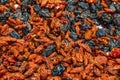 Ready to eat mixed nuts, gojiberries and raisins Royalty Free Stock Photo