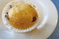 Ready to eat muffin on aplate Royalty Free Stock Photo