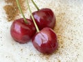 Ready-to-eat traditional turkish dessert, rice pudding and cherries Royalty Free Stock Photo