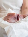 Frehs tuna loin in fishmonger hands Royalty Free Stock Photo