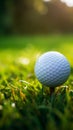 Ready to tee off Golf ball closeup on green grass Royalty Free Stock Photo