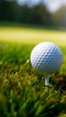 Ready to tee off Golf ball closeup on green grass Royalty Free Stock Photo