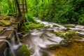 Reagans Mill, Roaring Fork, Great Smoky Mountains Royalty Free Stock Photo