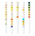 Reagent test strips for urinalysis for an automatic analyzer of