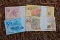 Reais, Real, brazilian money bills, dry brown pine needles background, ten twenty fifty and hundred reais bill