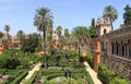 Real Alcazar Gardens in Sevilla