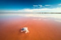 Real amazing pink color salt lake and deep blue sky, minimalistic landscape