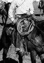 Real Cowboys Riding (black and white) Royalty Free Stock Photo