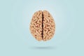 Real creative brain on a blue background, top view. Creative idea, concept. Health and neurosurgery Royalty Free Stock Photo