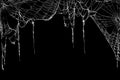 Creepy spider webs hanging on black banner as a top border