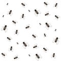 real 3d flys cool pattern Royalty Free Stock Photo