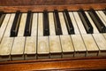 real elephant ivory piano keys on old wooden grand piano black and white keys with dirt, sweat and finger oils ground in detailed Royalty Free Stock Photo