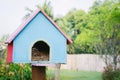 Real empty bird nest,background blur.