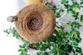 Real empty bird nest on leaf background