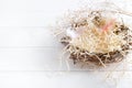 Real empty bird nest on white wooden background, copy space Royalty Free Stock Photo