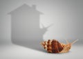 Real estate concept, snail with shadow house