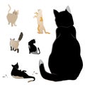 Set of different cats vector art