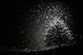 Real falling snow on a black, abstract, backgrounds Royalty Free Stock Photo