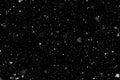 Real falling snow on a black background for use as a texture layer in a photo design. Royalty Free Stock Photo