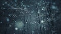 real falling snow at night close up overlay