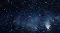 real falling snow at night close up overlay with trees Royalty Free Stock Photo