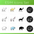 Real and fantasy animals icons set