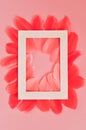 Real feathers with frame trend color coral closeup.