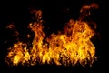 Real firewalls and hot flames are burning on a black background