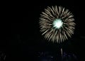 Real fireworks celebration at night background
