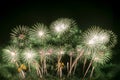 Real Fireworks display celebration, New Year Firework Royalty Free Stock Photo