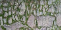 Real floor texture with Rocks and moss or herbs Royalty Free Stock Photo