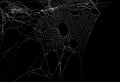 Real frost covered spider web isolated on black. For spooky Halloween decoration Royalty Free Stock Photo