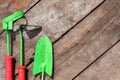 The real garden implements on wooden old background Royalty Free Stock Photo